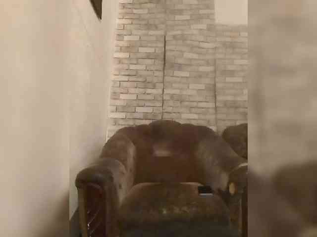 CerdAyaz webcam
