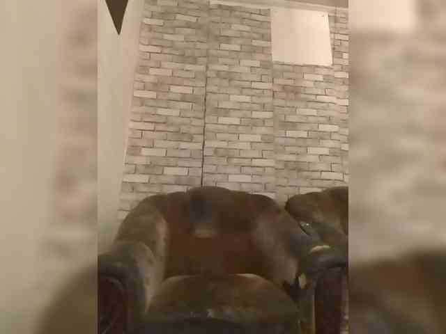 CerdAyaz webcam