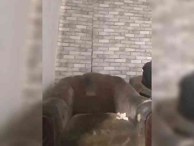 CerdAyaz webcam