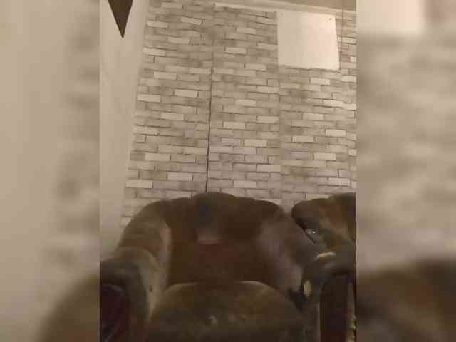 CerdAyaz webcam