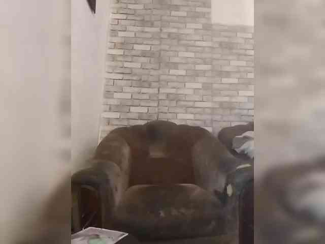 CerdAyaz webcam