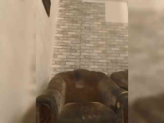 CerdAyaz webcam