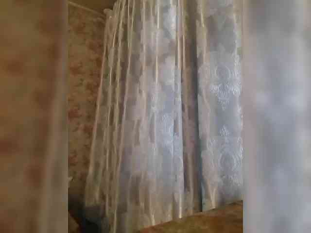CerdAyaz webcam
