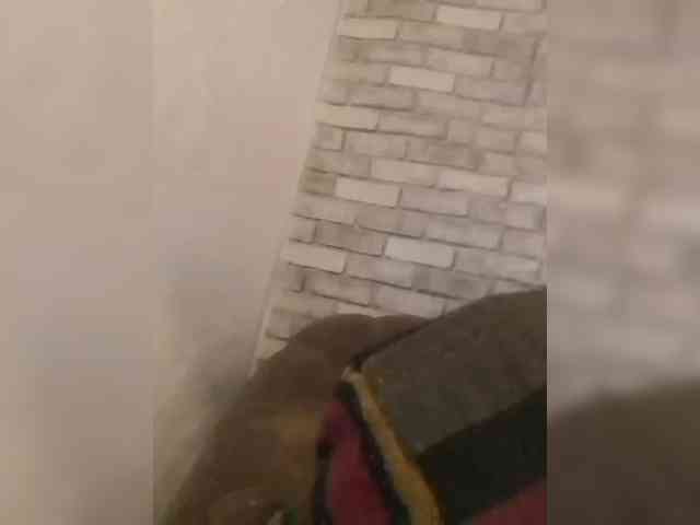 CerdAyaz webcam