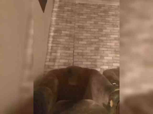 CerdAyaz webcam