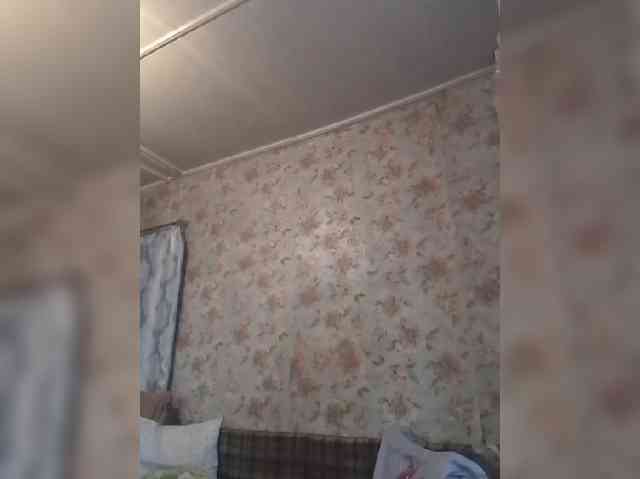 CerdAyaz webcam