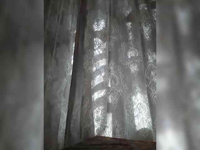 CerdAyaz
