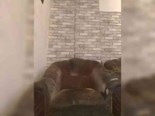 CerdAyaz webcam