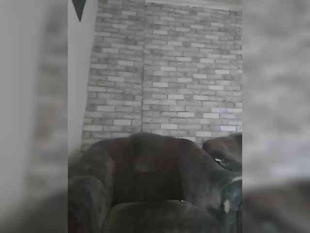CerdAyaz webcam