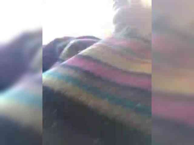CerdAyaz webcam