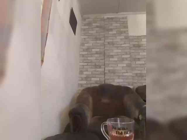 CerdAyaz webcam