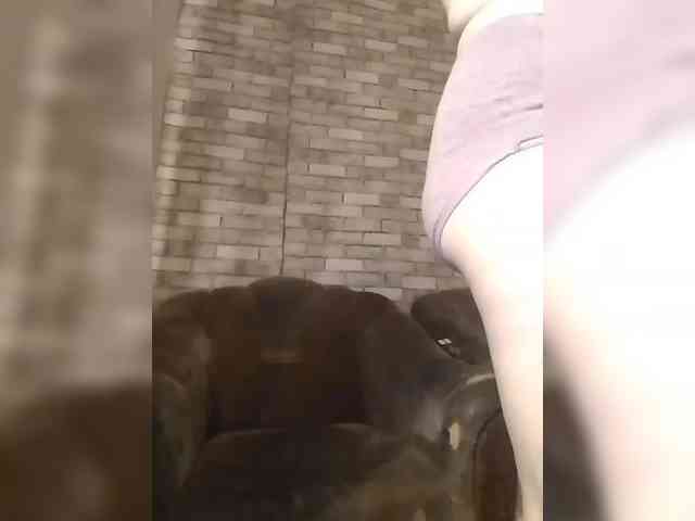 CerdAyaz webcam