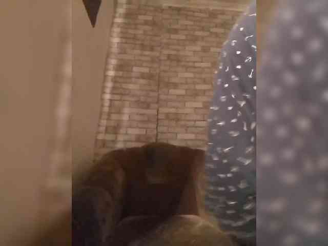 CerdAyaz webcam