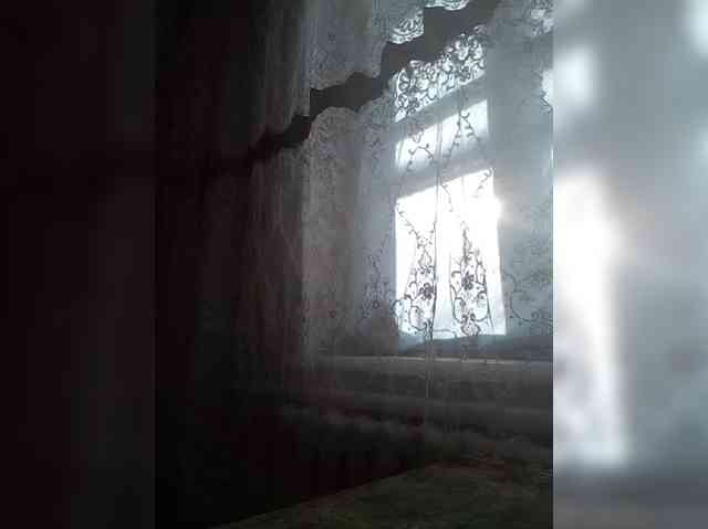 CerdAyaz webcam