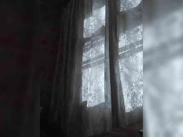 CerdAyaz webcam