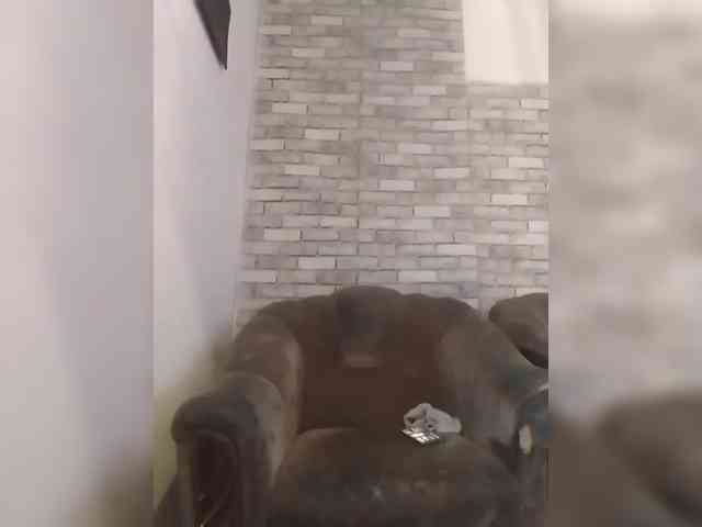 CerdAyaz webcam