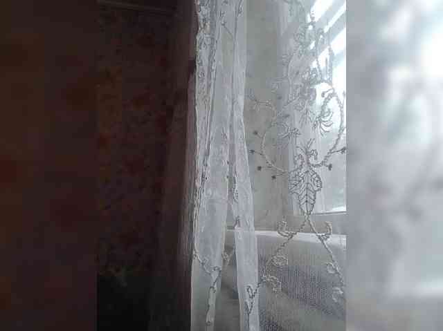CerdAyaz webcam