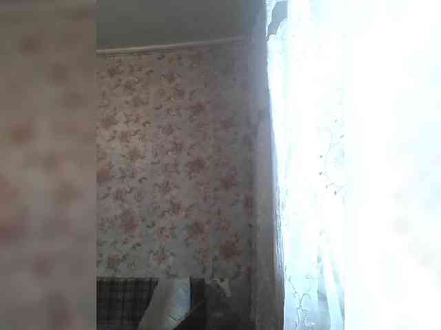 CerdAyaz webcam