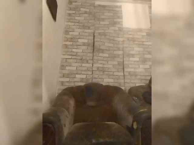 CerdAyaz webcam