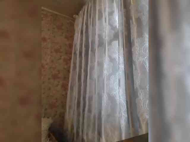 CerdAyaz webcam