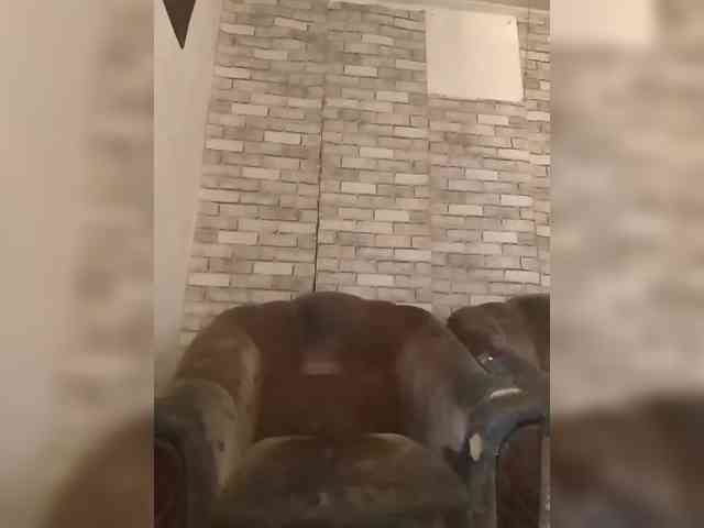 CerdAyaz webcam