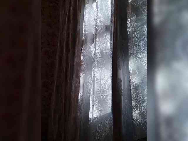 CerdAyaz webcam
