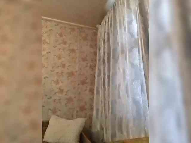CerdAyaz webcam