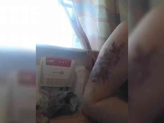 CerdAyaz webcam