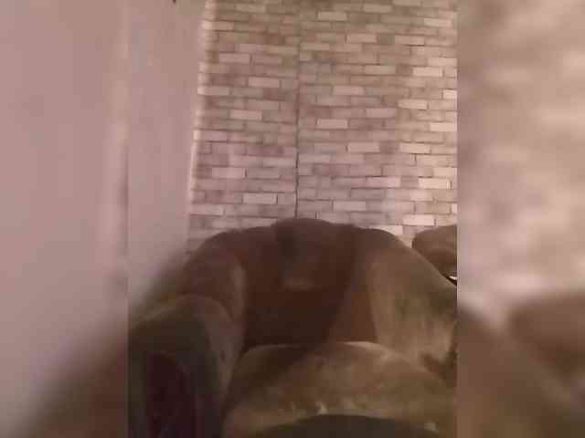 CerdAyaz webcam
