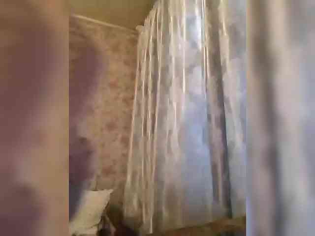 CerdAyaz webcam