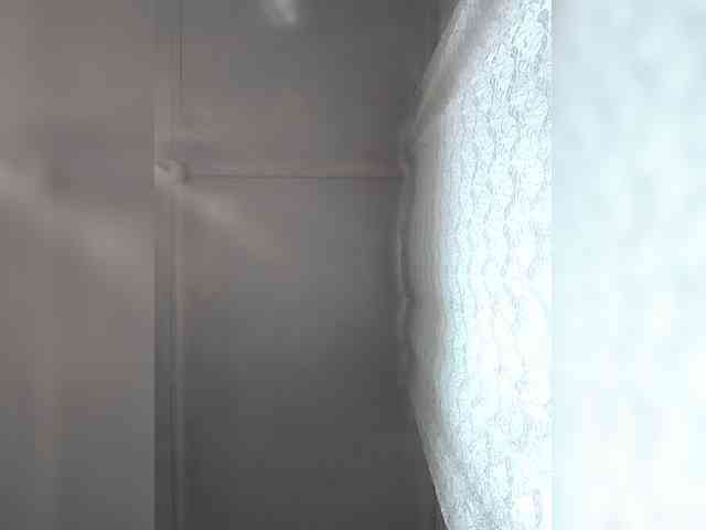 CerdAyaz webcam