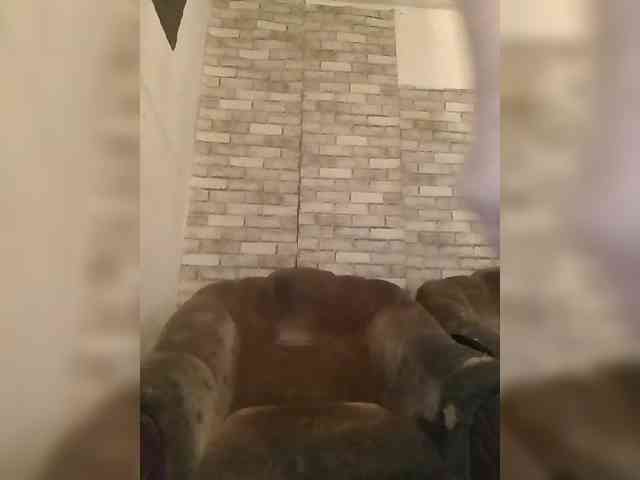 CerdAyaz webcam