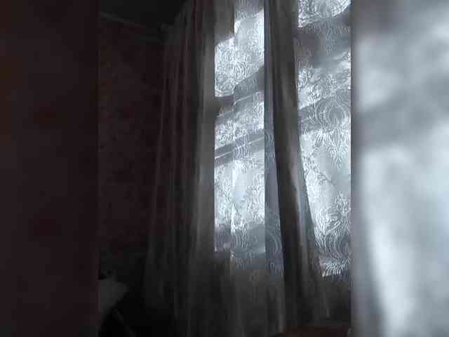CerdAyaz webcam