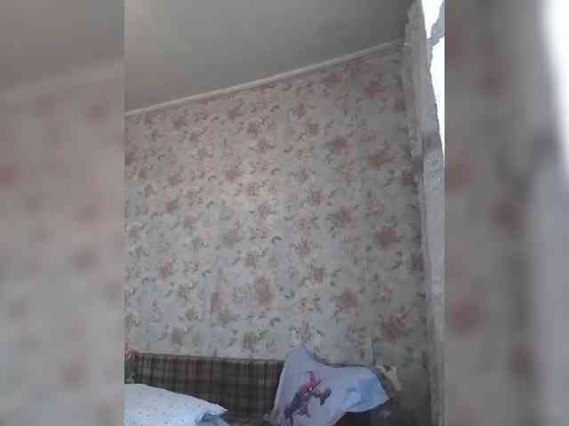 CerdAyaz webcam