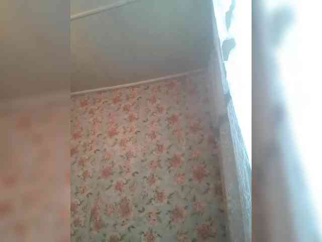 CerdAyaz webcam