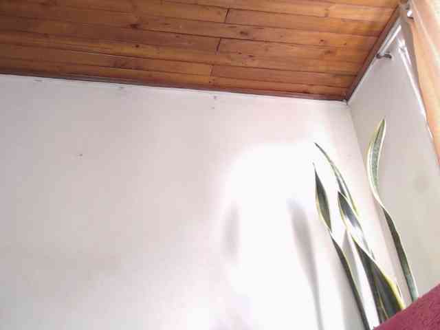 sandyxnaughty webcam