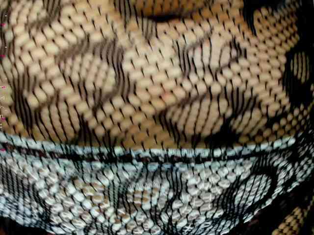 Yumikaa webcam