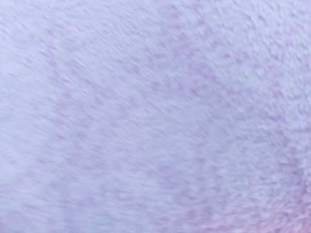 imeliza