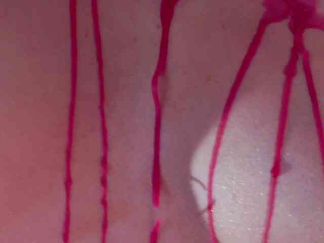 imeliza webcam