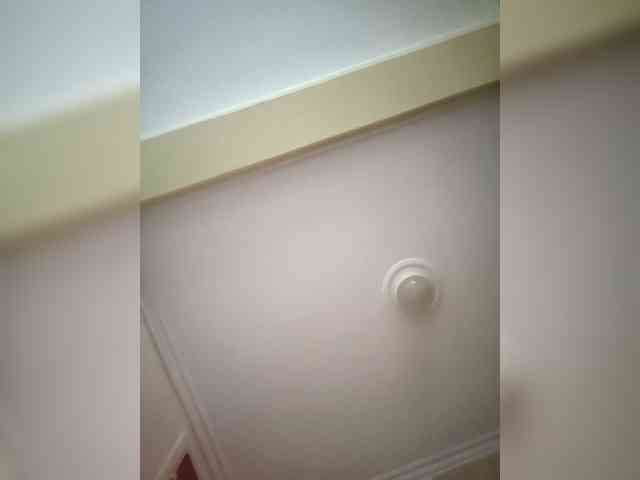 Bela40 webcam