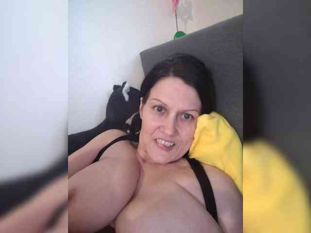 Bela40 Bela40