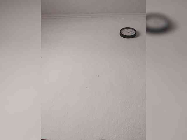Bela40 webcam