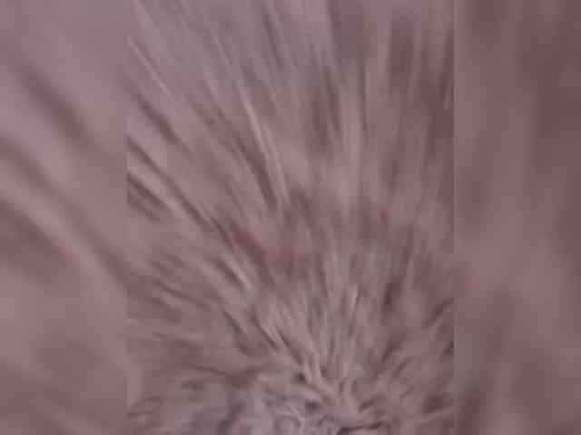CUBA-V webcam