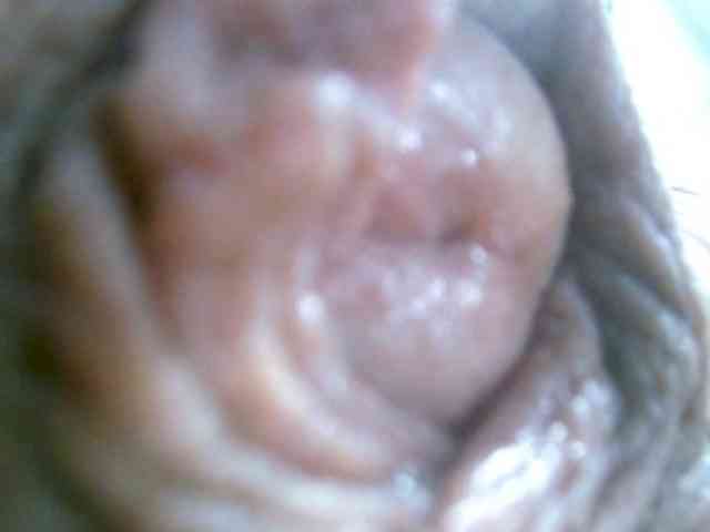 annitsx