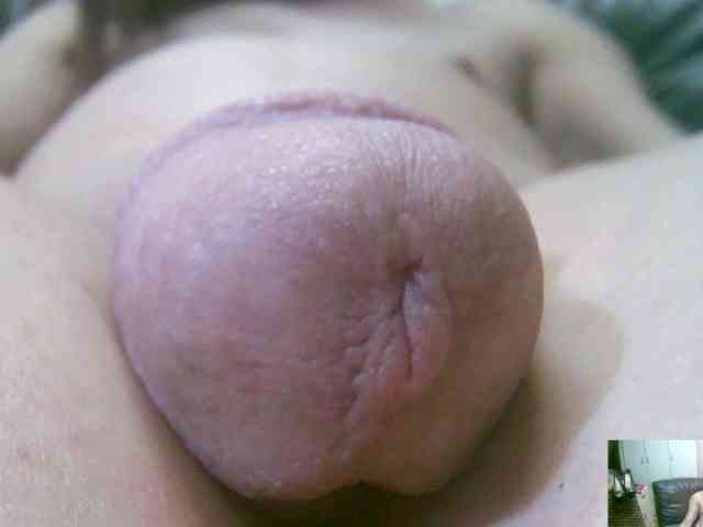 annitsx
