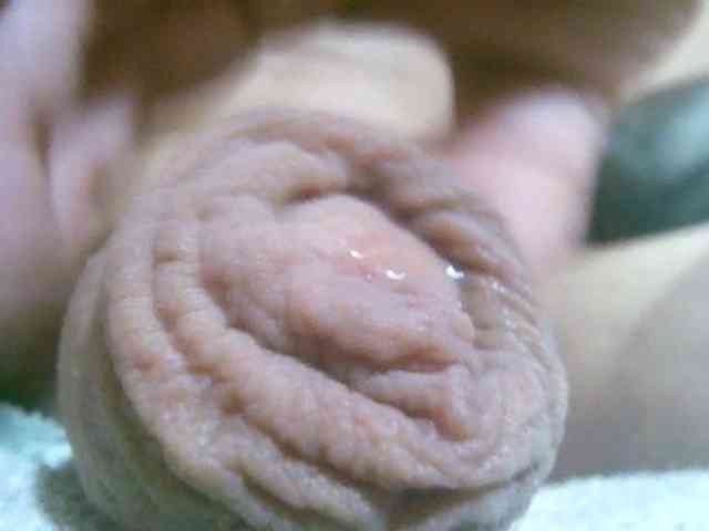 annitsx