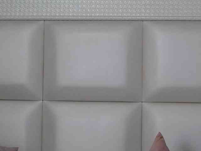 verosantana webcam