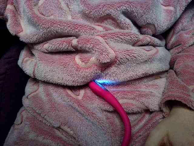 Hairyy
