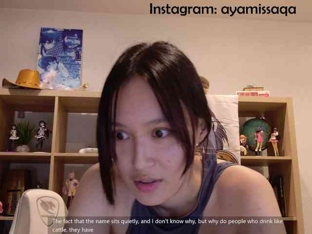 Miskariskoskashena webcam