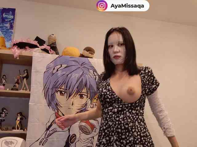 Miskariskoskashena webcam